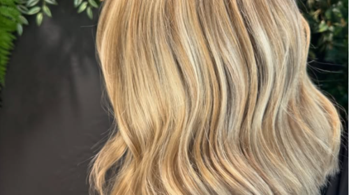 Nos salons agapi monteux (5)